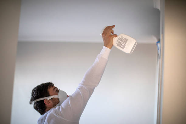 Attic Mold Removal in Sarasota Springs, FL