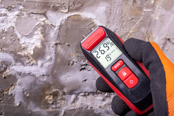 Best Best Mold Removal Companies  in Sarasota Springs, FL