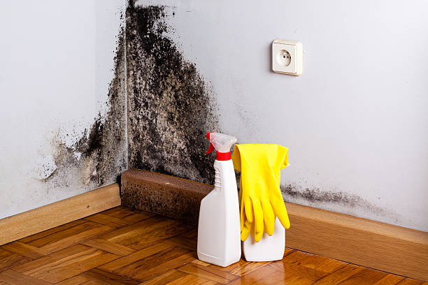 Water Damage Restoration in Sarasota Springs, FL